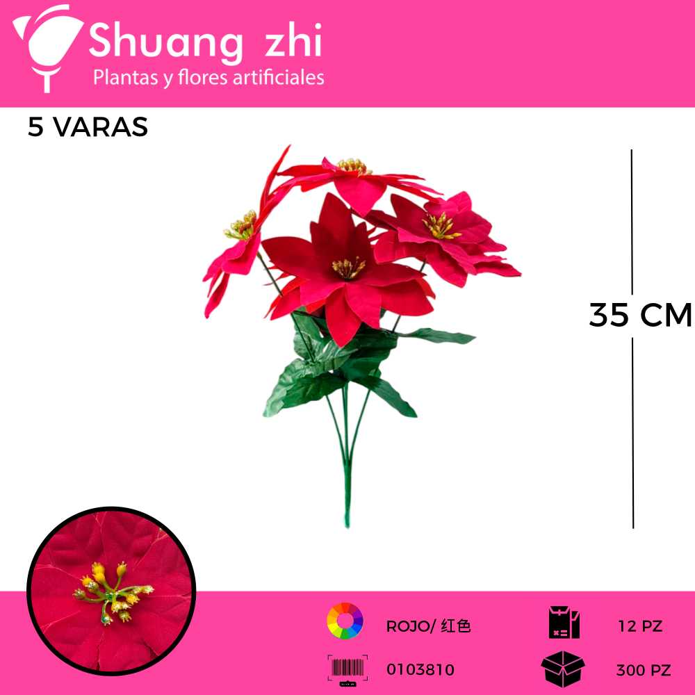 FLOR NAVIDAD