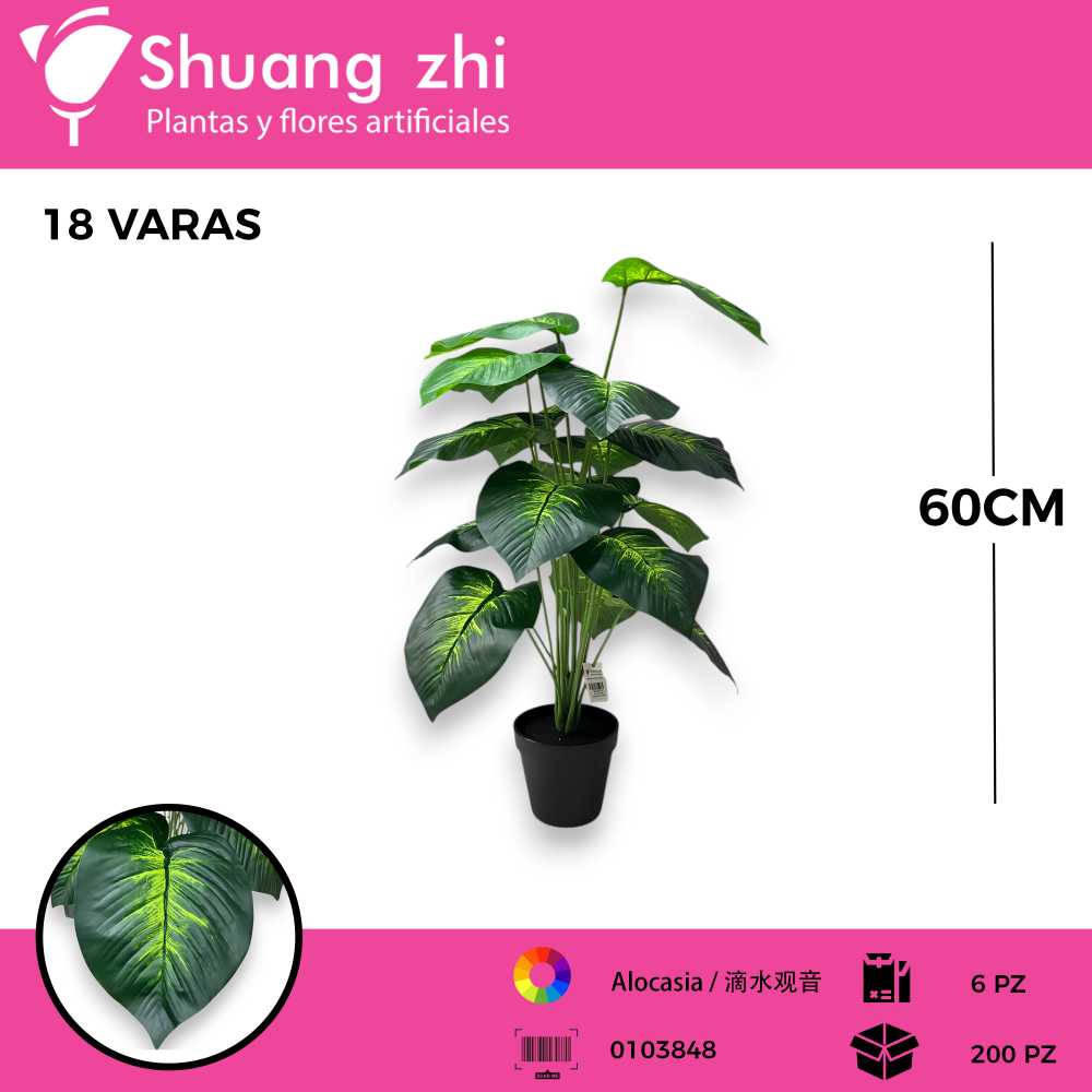 PLANTA 18 HOJAS CON MACETA