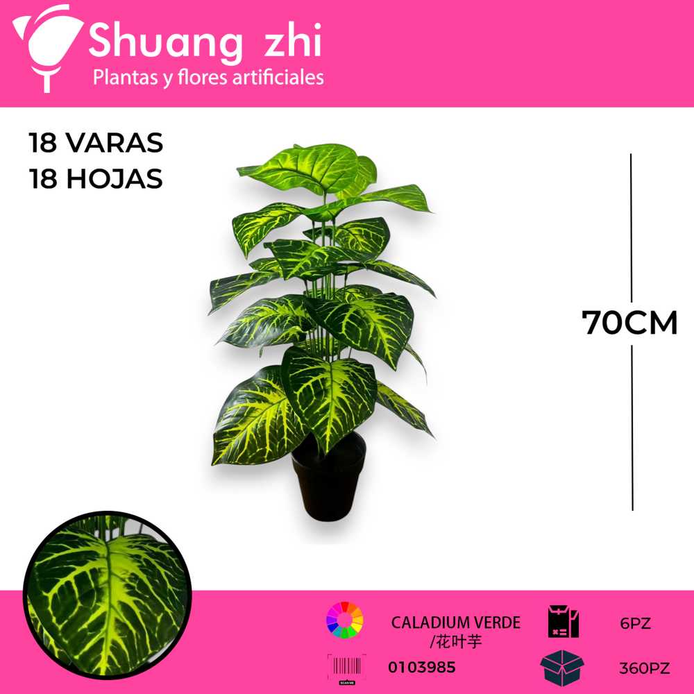 PLANTA 18 HOJAS CON MACETA
