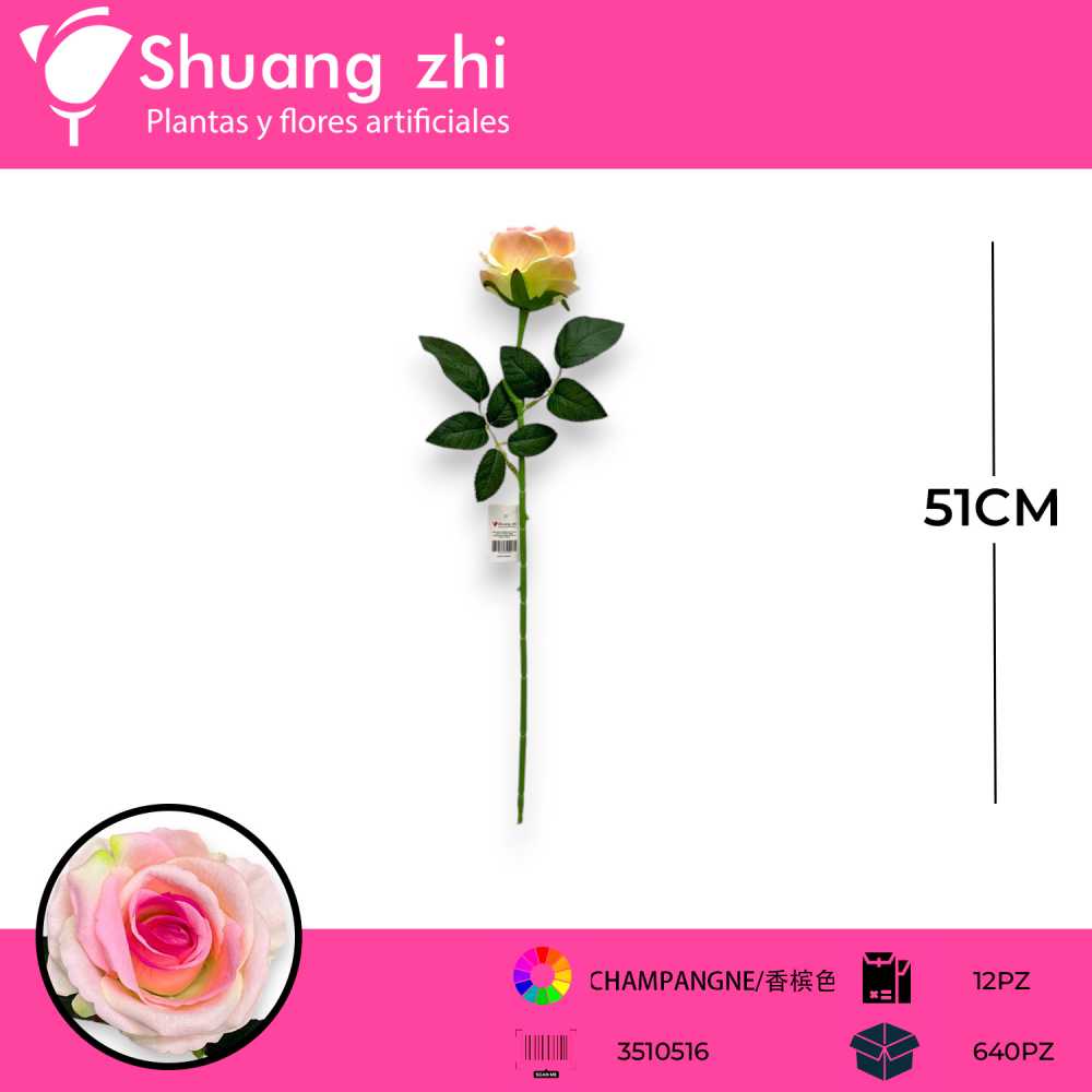 VARA ROSA CHAMPANGNE 51CM