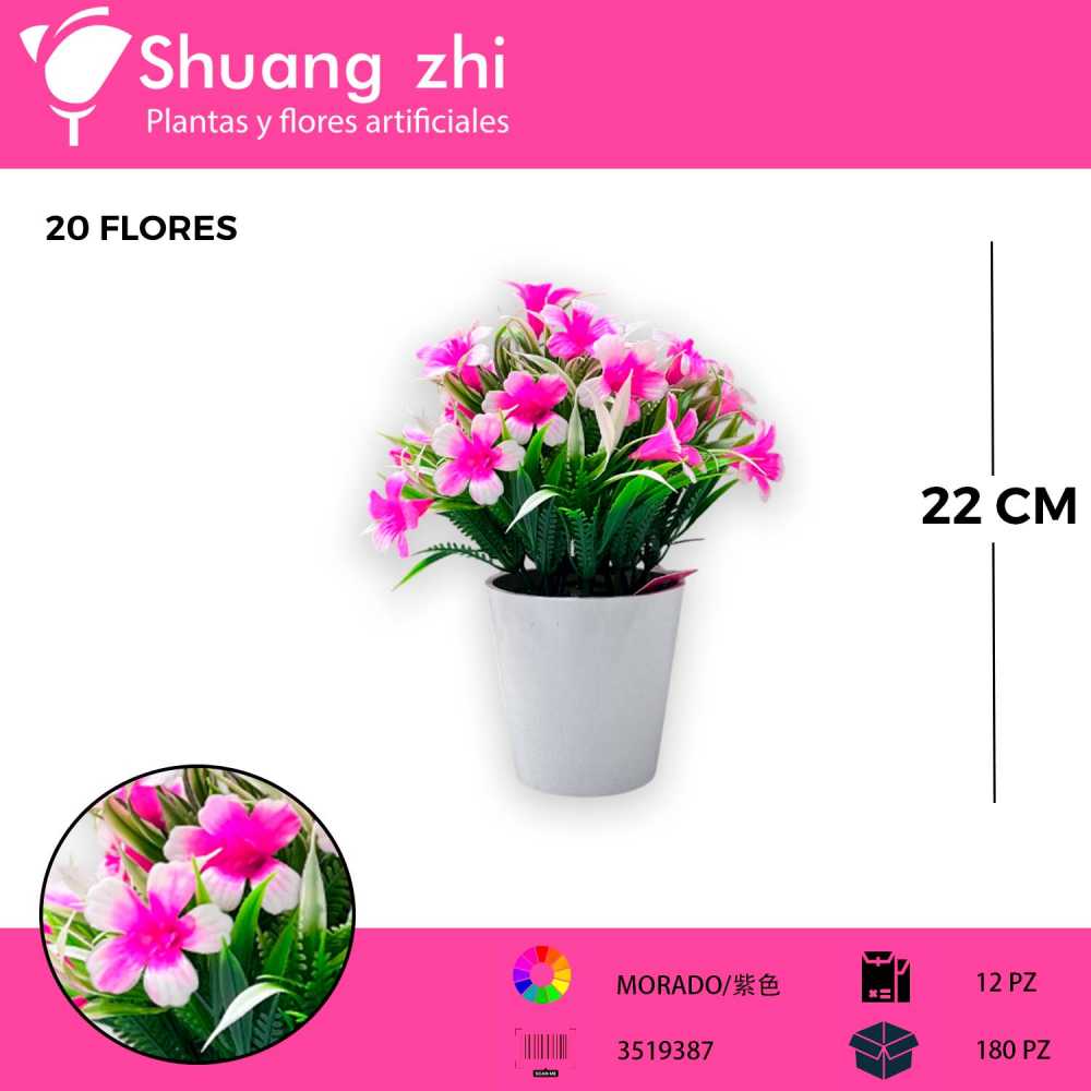 MACETA MINI FLOR FUCSIA 22CM