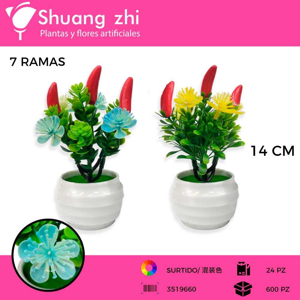 MACETA MINI CHILE SURTIDO 14CM