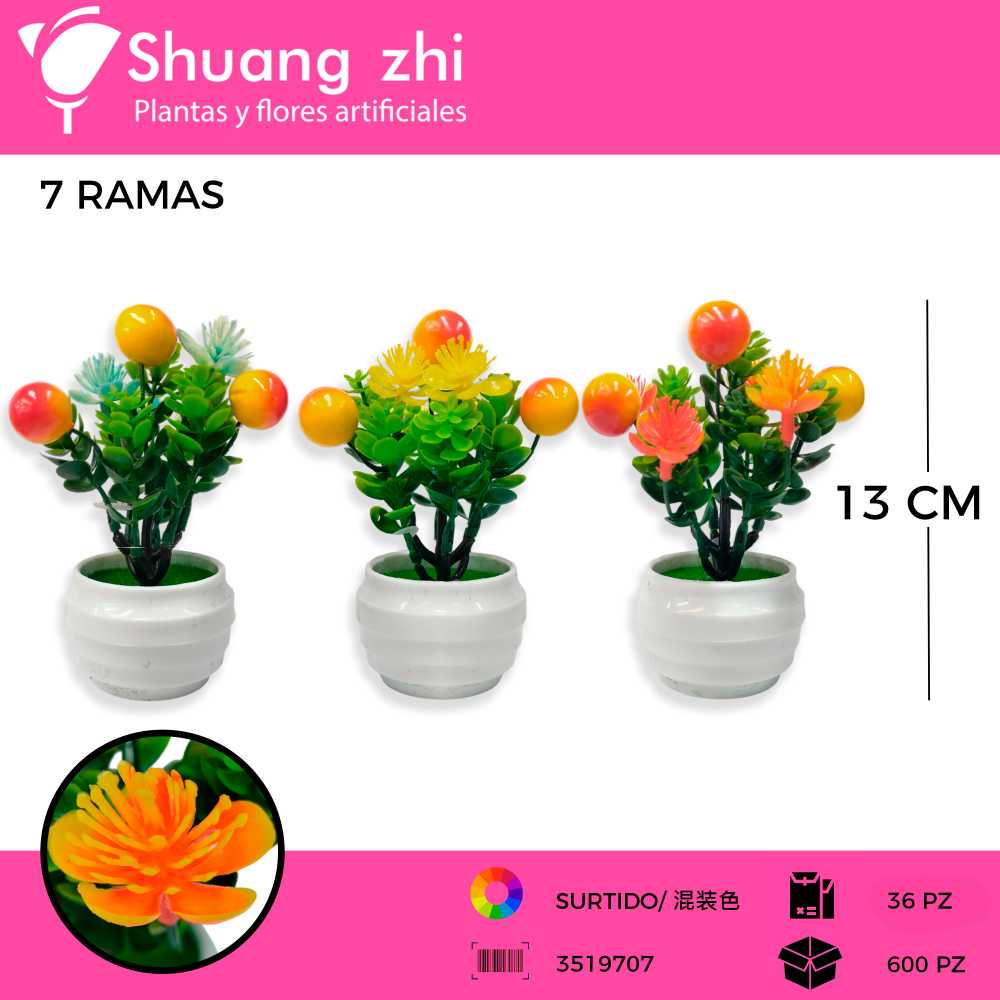 MACETA MINI CEREZA SURTIDO 13CM