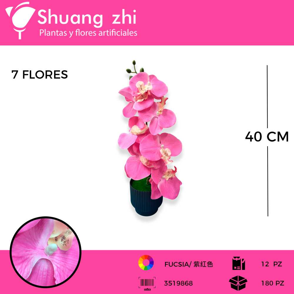 ORQUIDEA FUCSIA 7 FLORES MACETA 40CM