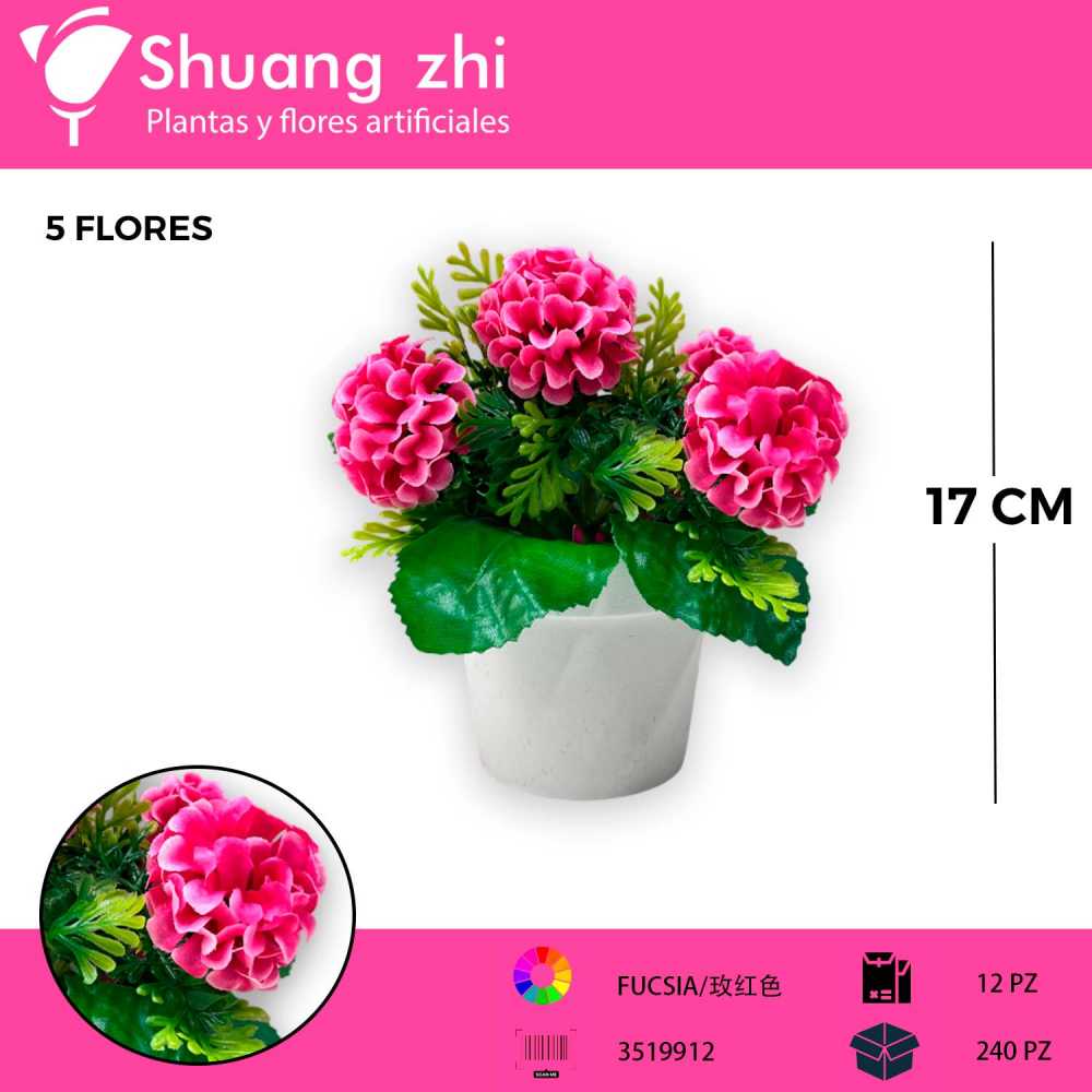 MACETA MINI CEMPASUCHIL FUCSIA 17CM