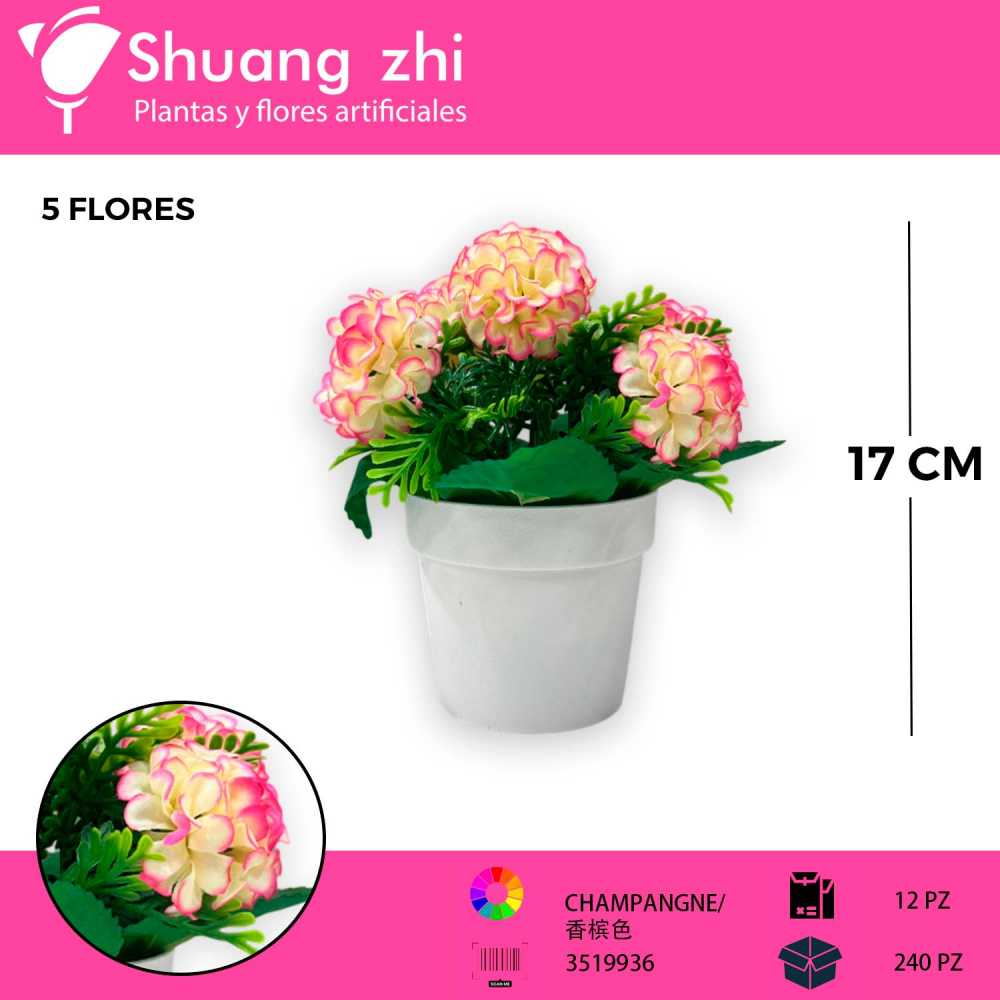 MACETA MINI CEMPASUCHIL CHAMPANGNE 17CM?1785622698