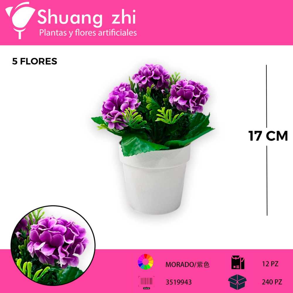 MACETA MINI CEMPASUCHIL MORADO 17CM