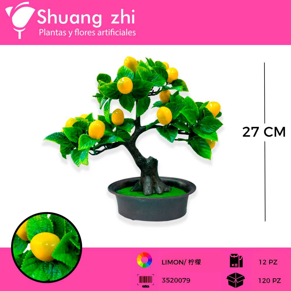 MACETA LIMON 27 CM