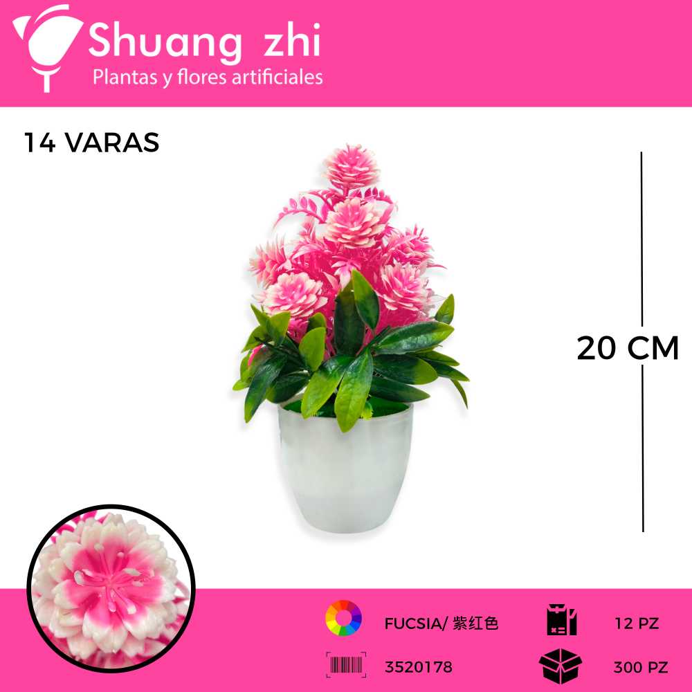MACETA MINI FUCSIA 20CM