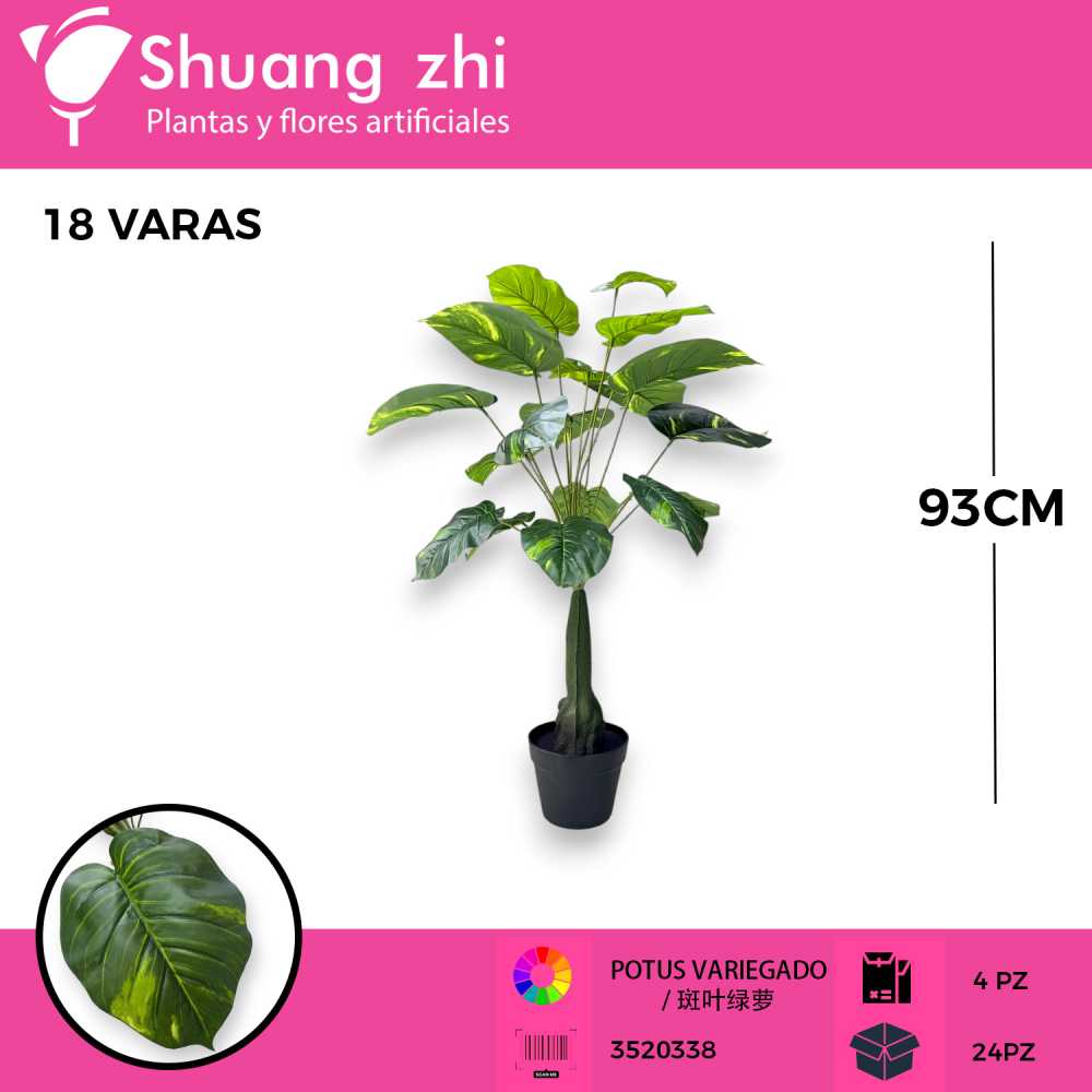 ARBOL POTUS 18 HOJAS CON MACETA