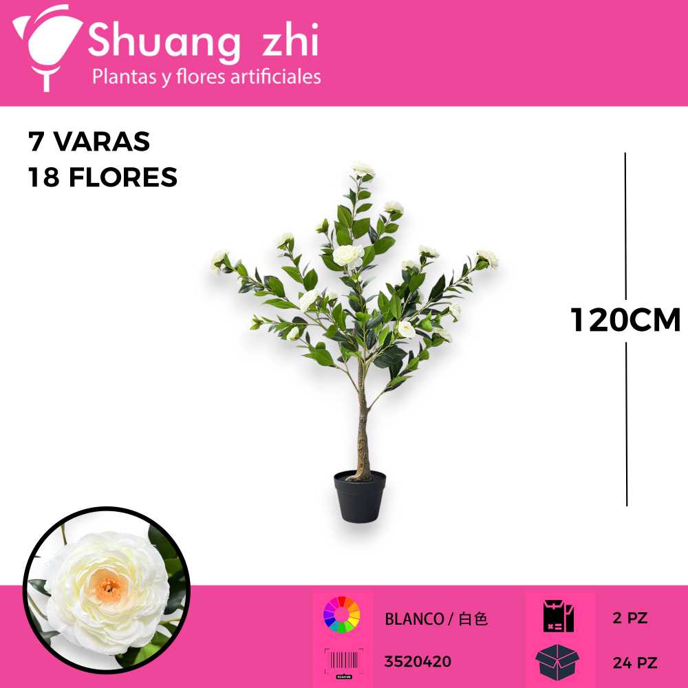 PLANTA DALIA BLANCO 7 VARAS 120CM