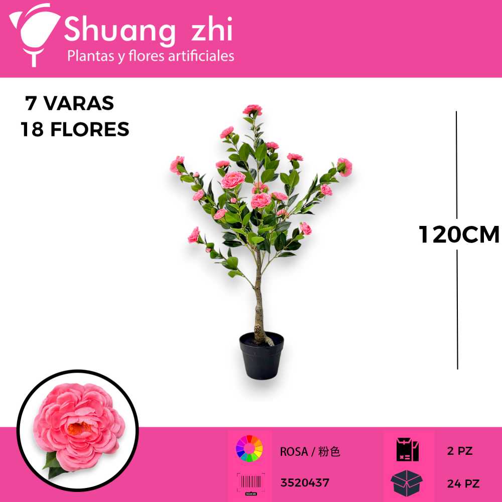 PLANTA DALIA ROSA 7 VARAS 18 FLORES 120CM CON MACETA