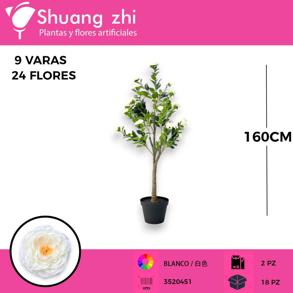 PLANTA DALIA BLANCO 9 VARAS 24 FLORES 160CM CON MACETA
