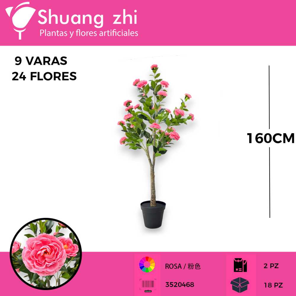 PLANTA DALIA ROSA 9 VARAS 24 FLORES 160CM CON MACETA