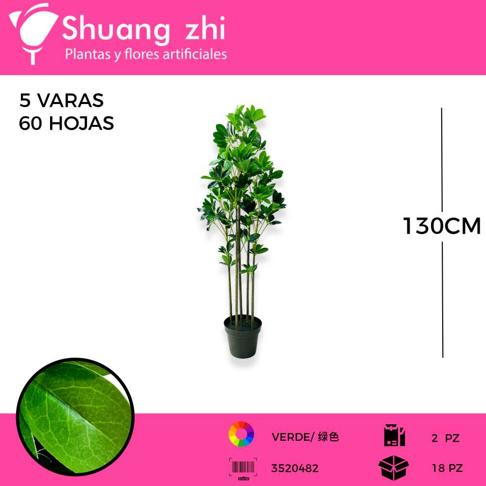 PLANTA CHEFLERA 5 VARAS 60 HOJAS VERDE CON MACETA