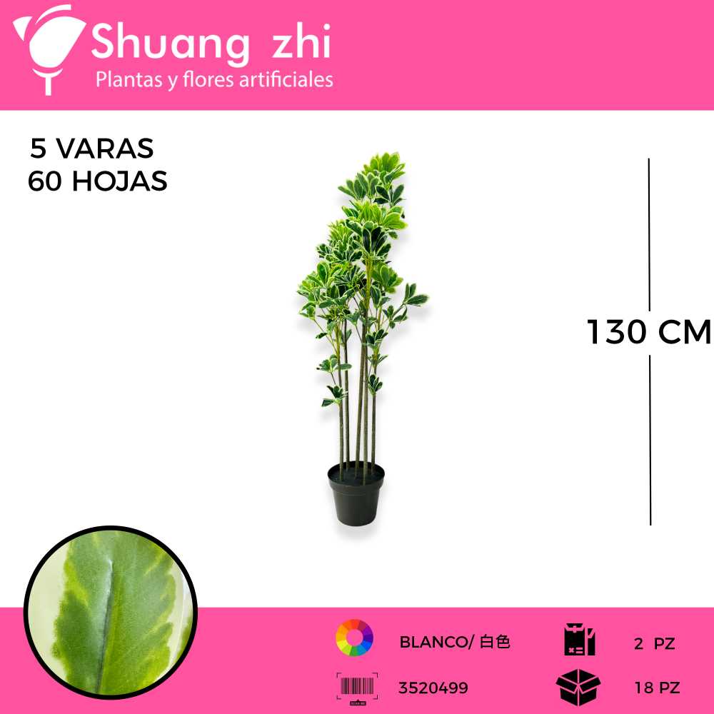 PLANTA CHEFLERA 5 VARAS 60 HOJAS BLANCO CON MACETA