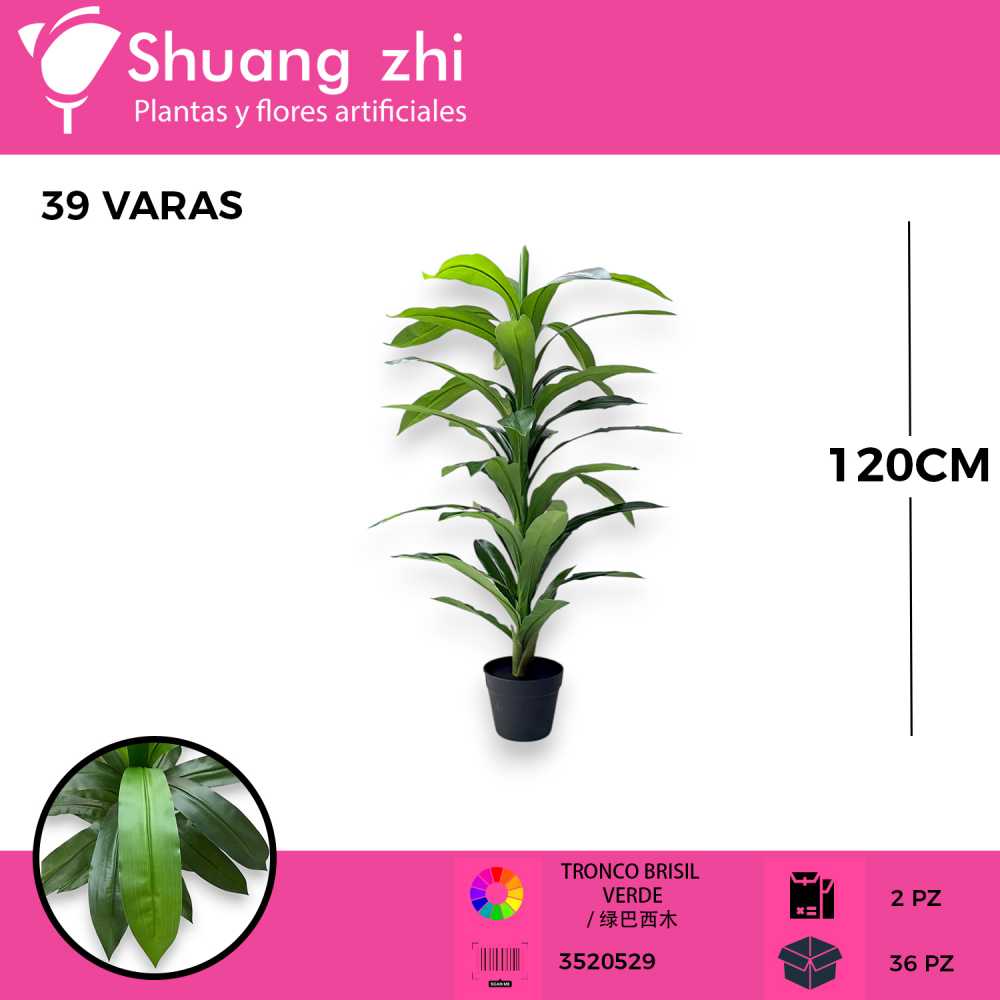 PLANTA HOJA BRASIL 39 HOJAS CON MACETA