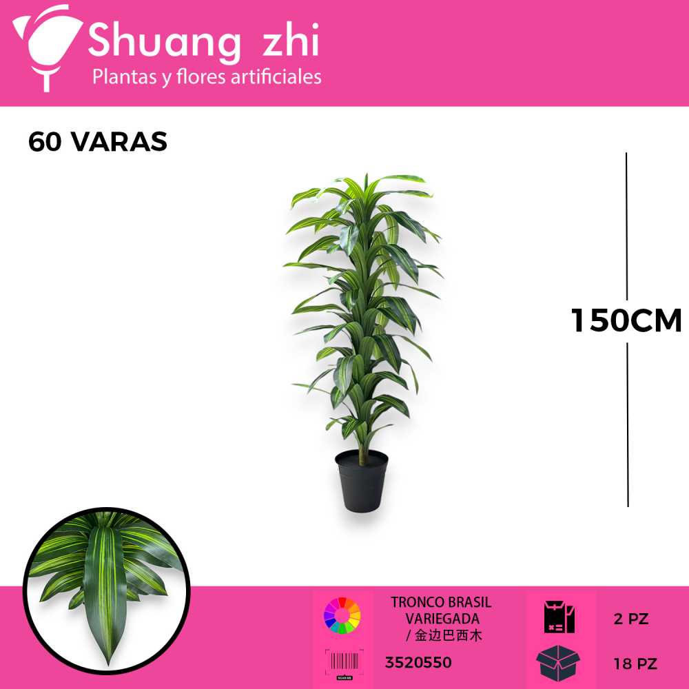 PLANTA HOJA BRASIL 60 HOJAS CON MACETA