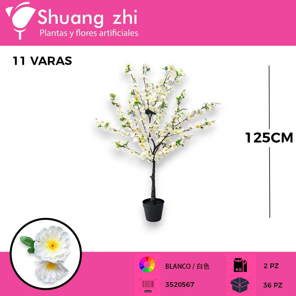 PLANTA CEREZO 11 VARAS BLANCO CON MACETA