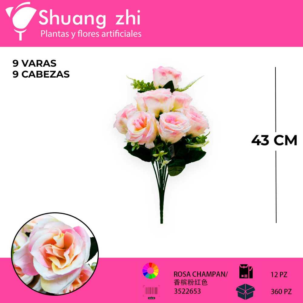 RAMO DE 9 ROSAS COLOR ROSA CHAMPAN