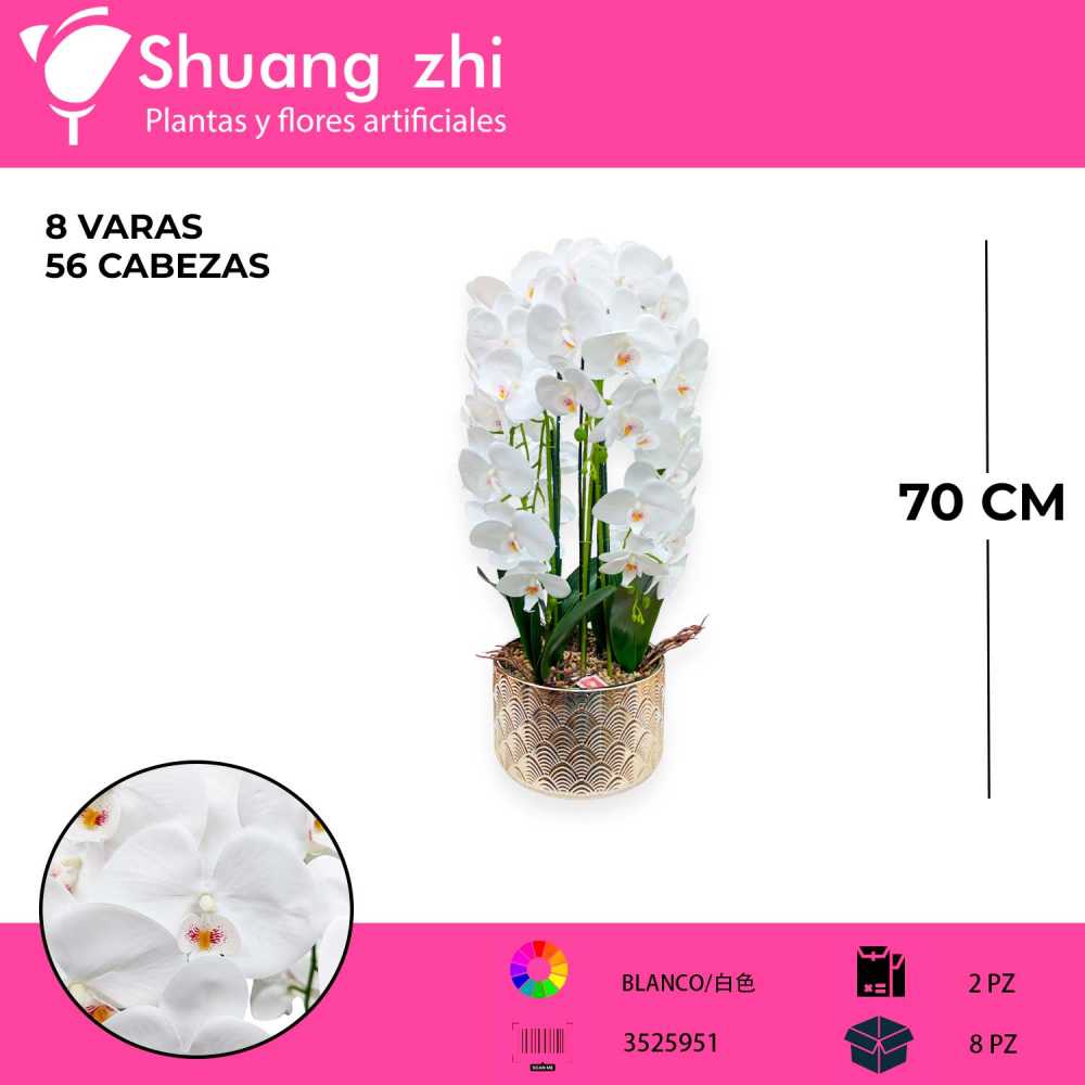MACETA DE ORQUIDEAS LM17251B