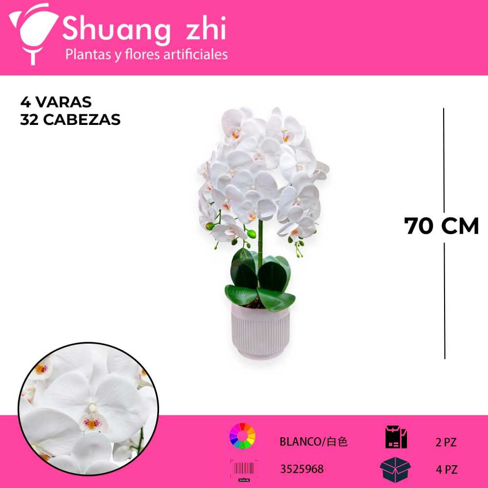 MACETA DE ORQUIDEAS LM17365