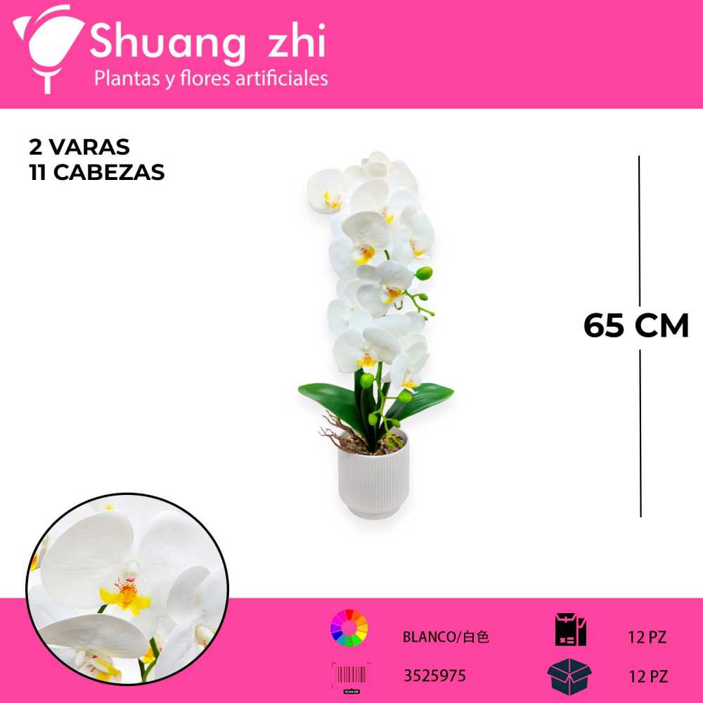 MACETA DE ORQUIDEAS LM17000