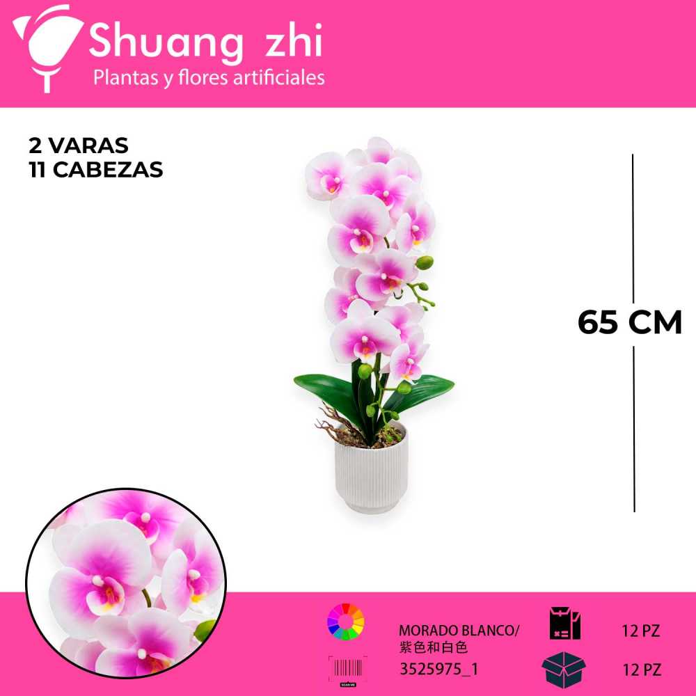 ORQUÍDEA