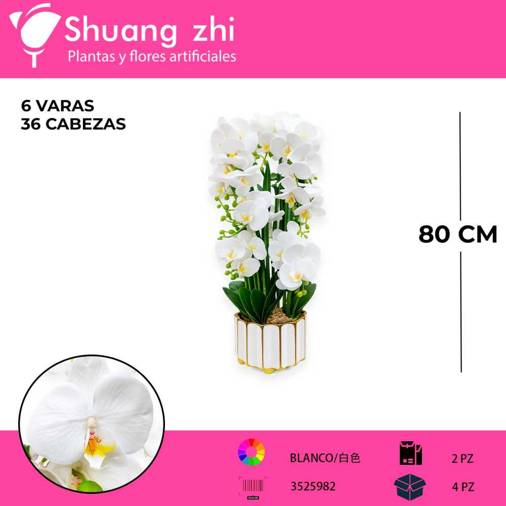 MACETA DE ORQUIDEAS LM17471