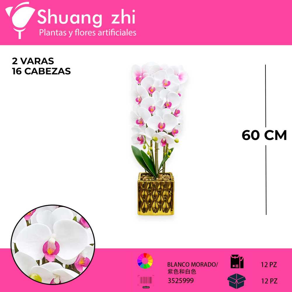 MACETA DE ORQUIDEAS BLANCAS LM17
