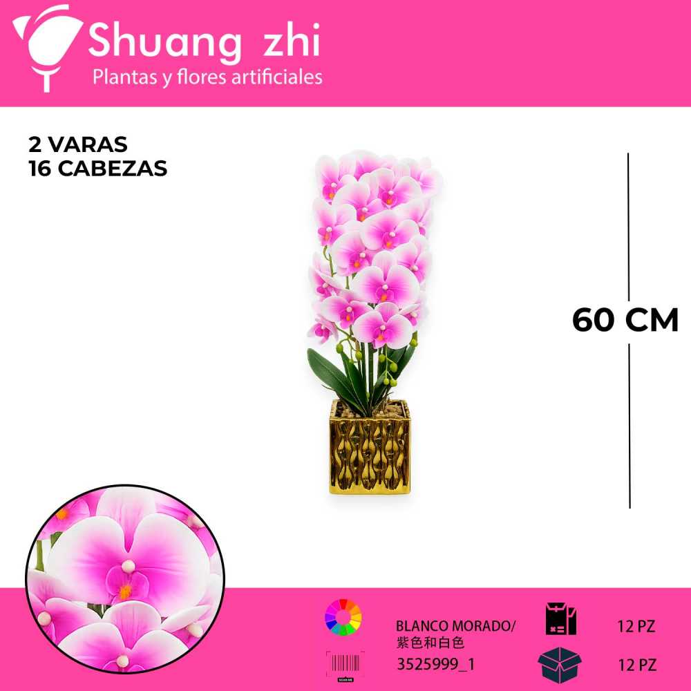 MACETA DE ORQUIDEAS ROSAS LM17