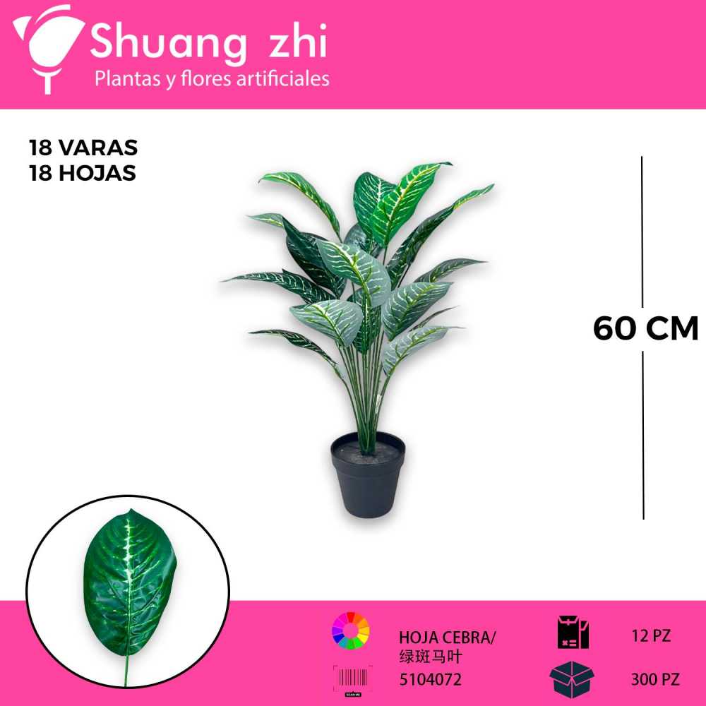FOLLAJE HOJA CEBRA 18 VARAS 60CM