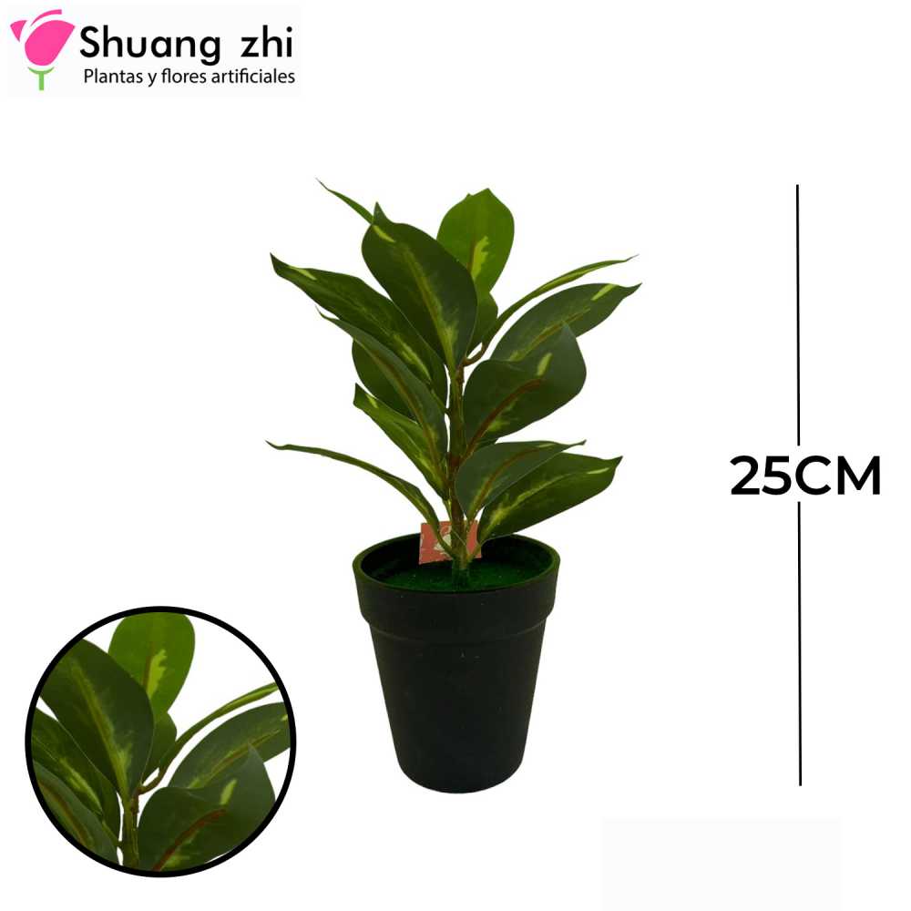 PLANTA CON MACETA 25CM