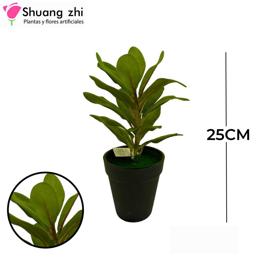 PLANTA CON MACETA 25CM