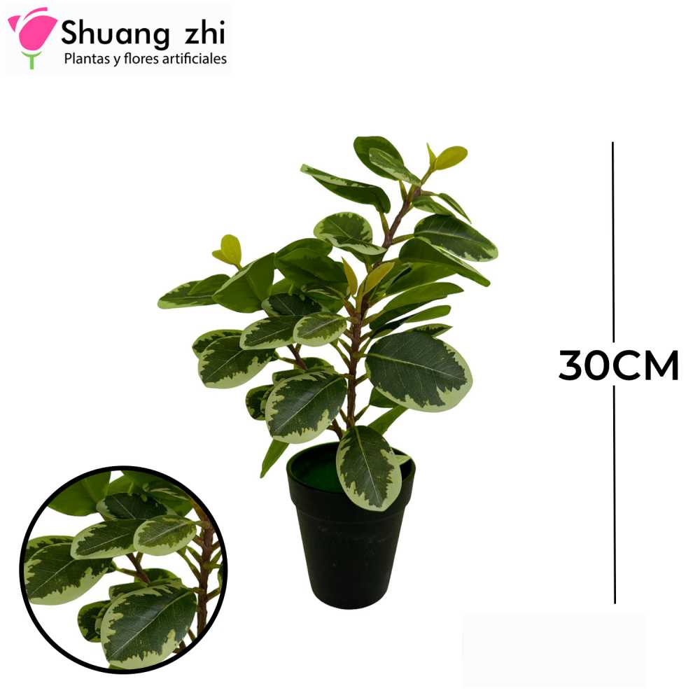 PLANTA CON MACETA 30CM