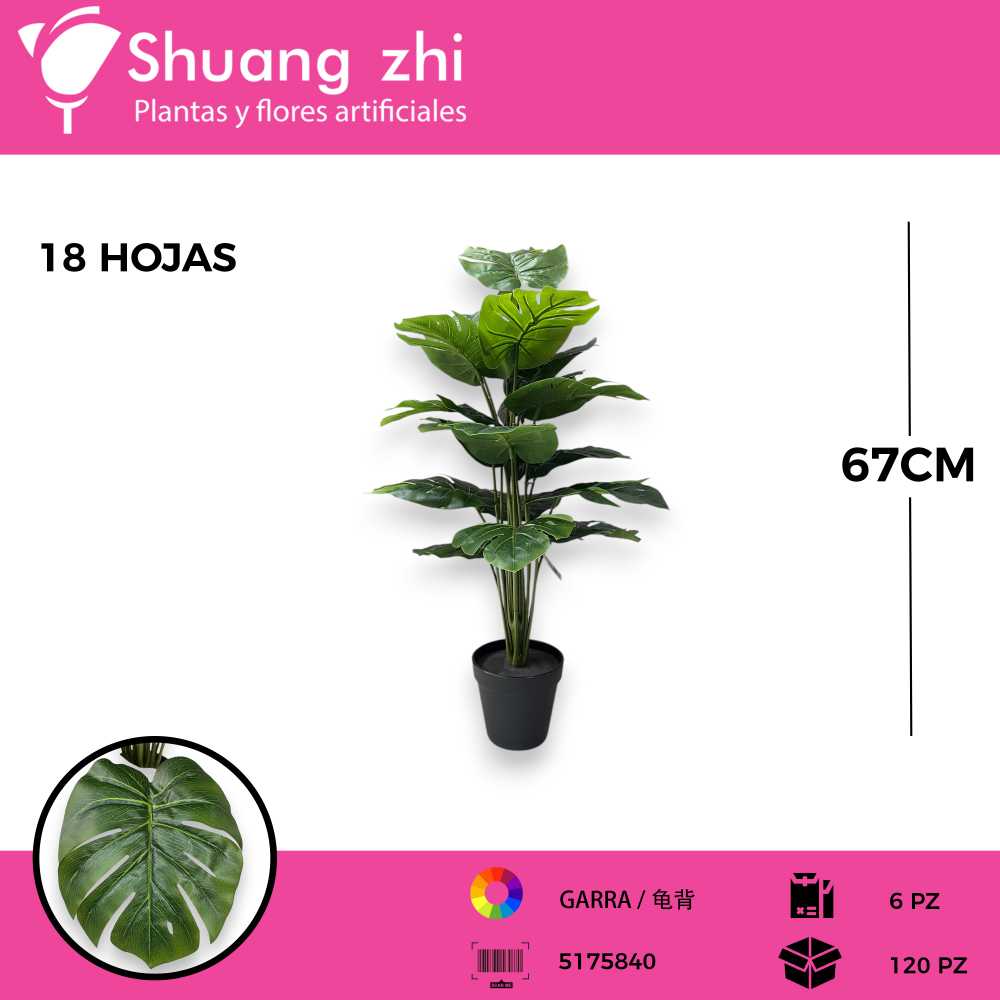PLANTA 18 HOJAS CON MACETA