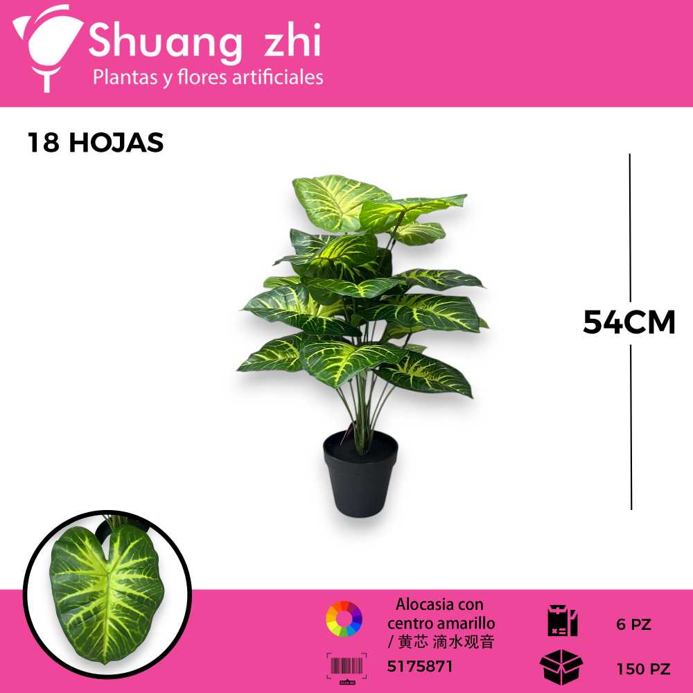 PLANTA 18 HOJAS