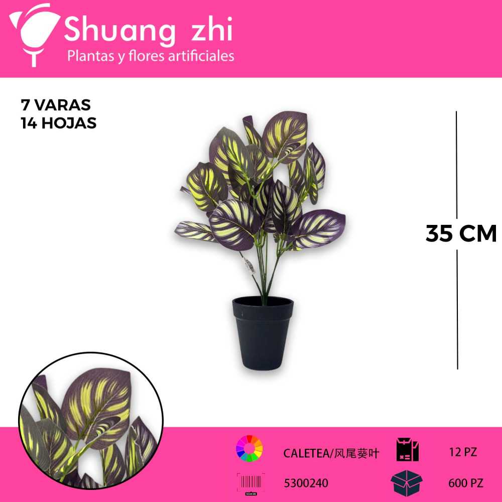 FOLLAJE CALATEA 7 VARAS 35CM