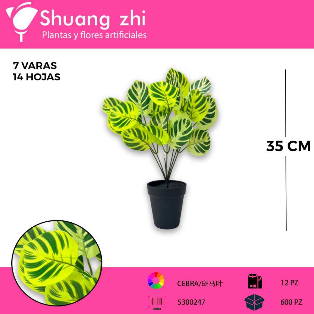 FOLLAJE CEBRA 7 VARAS 35CM