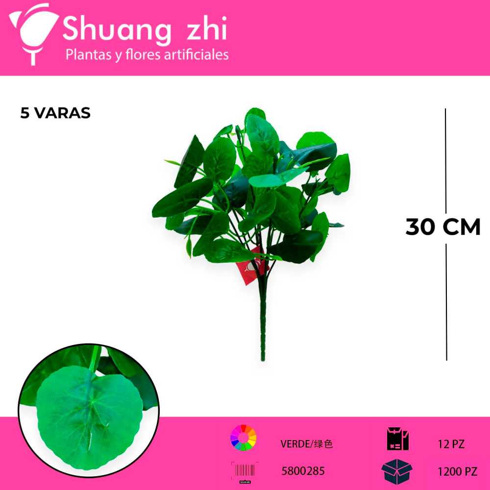 FOLLAJE PEQUEÑO DE BEGONIA DE 5 RAMAS