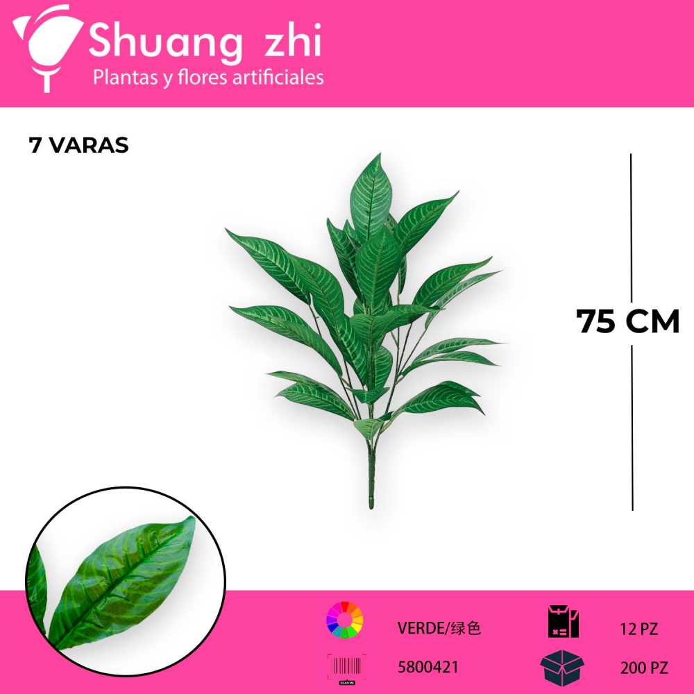 FOJALLE 7 VARAS 75 CM