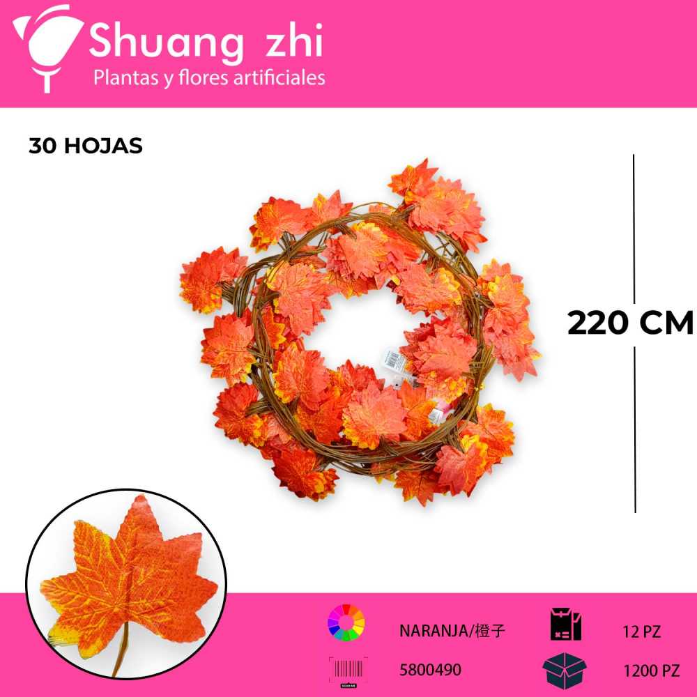 GUIA HOJA ROJA 220 CM
