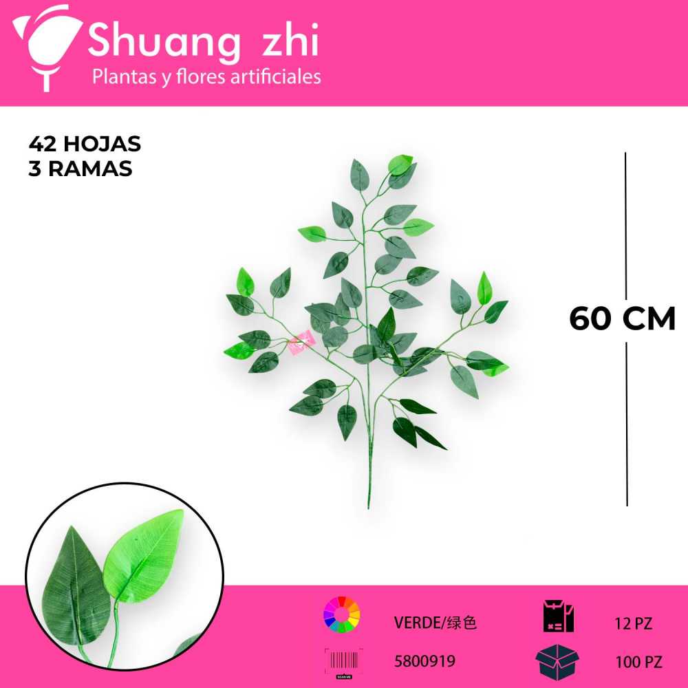 HOJA FICUS VERDE 12 PCS