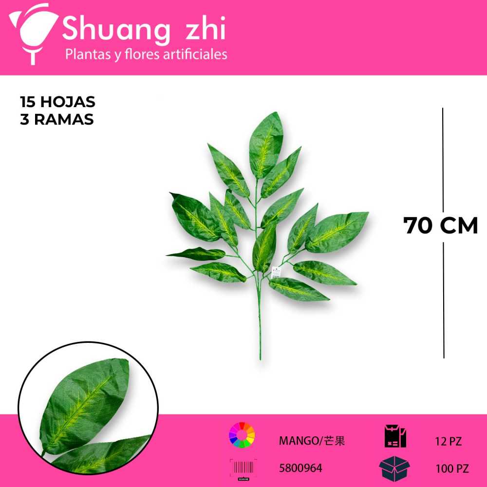 HOJA MANGO 