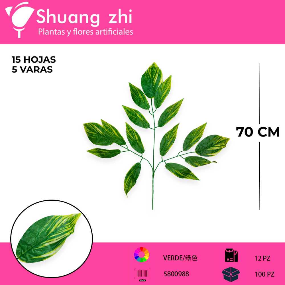 HOJA MANGO 