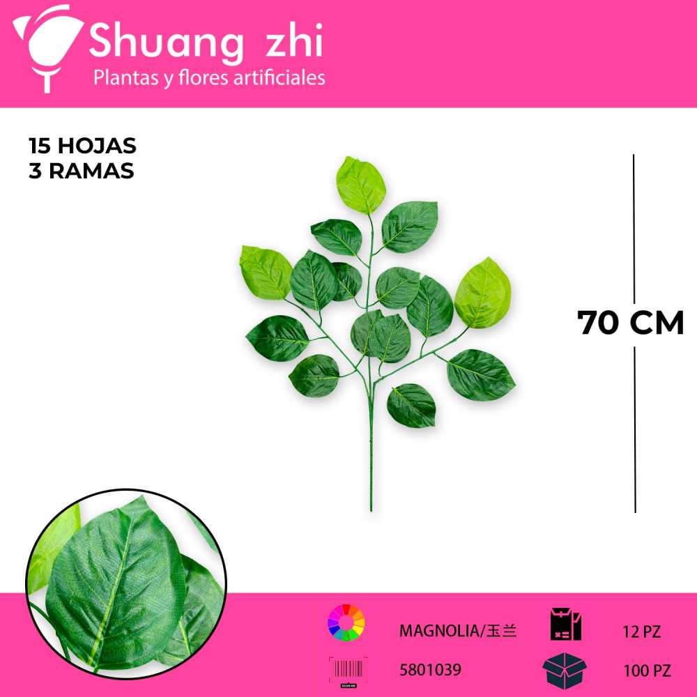 HOJA MAGNOLIA 3 VARAS 12 PCS