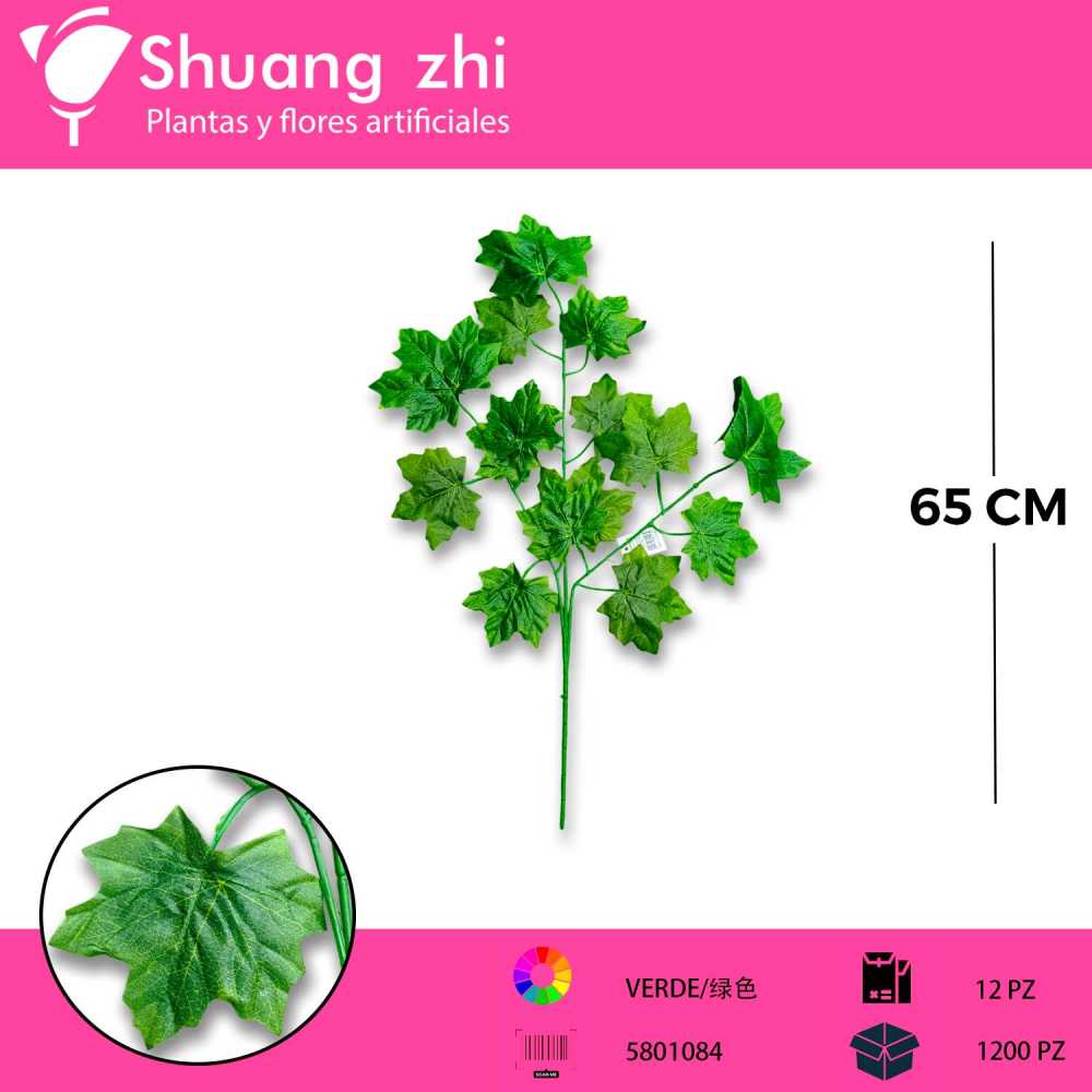 HOJA VERDE 3 VARAS 12 PCS