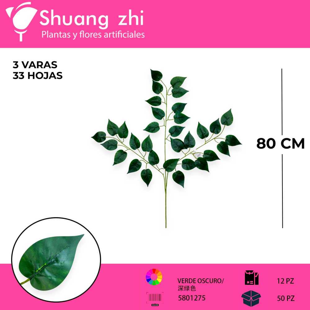 HOJA VERDE