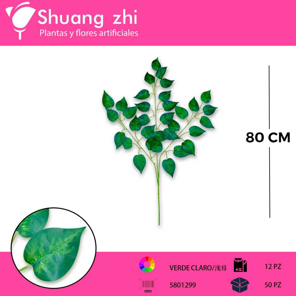 HOJA VERDE 3 VARAS PACK 12 PCS