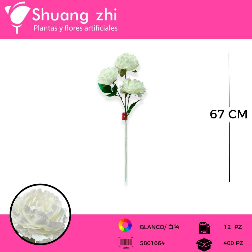 VARA PEONIA 3 CABEZAS BLANCO